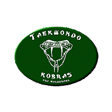 Taekwondo Kobras Magdeburg 