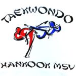 Logo Hankook MSV